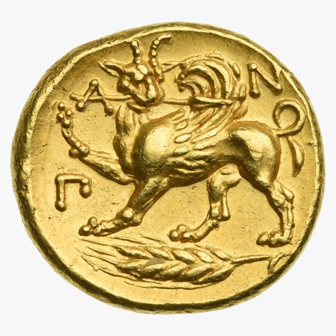 WhatsApp Image 2025-10-27 at 17.19.53 (1).jpeg